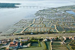 La cité de l’huître